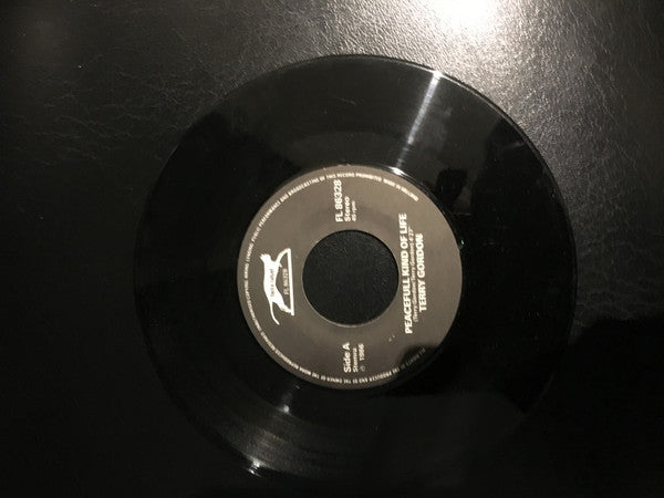Terry Gordon (2) : Falling (7")