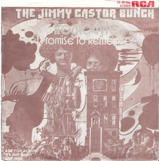 The Jimmy Castor Bunch : Troglodyte (Cave Man) (7", Single)