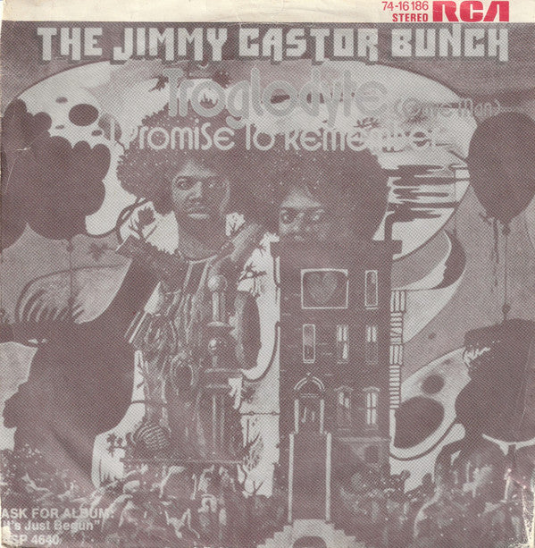 The Jimmy Castor Bunch : Troglodyte (Cave Man) (7", Single)