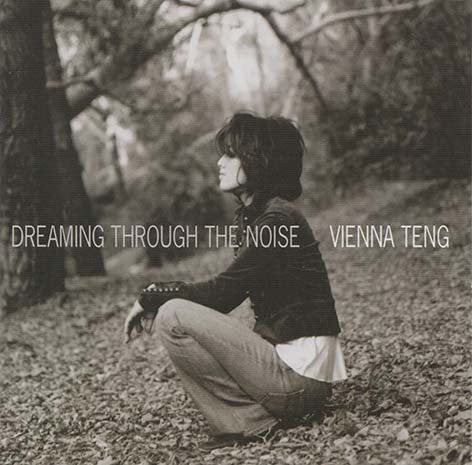 Vienna Teng : Dreaming Through The Noise (CD, Album)