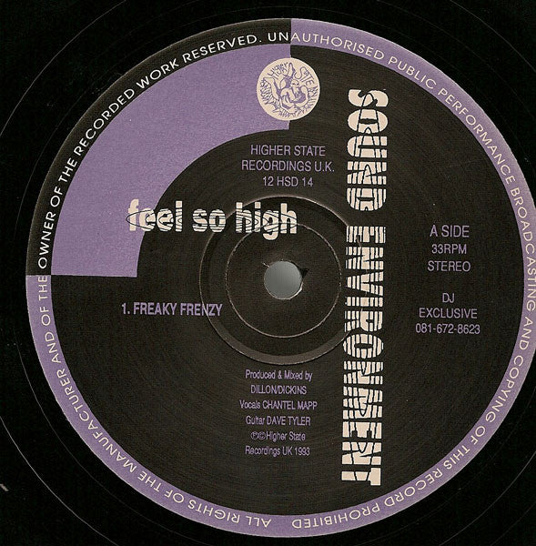 Sound Environment : Feel So High (12")