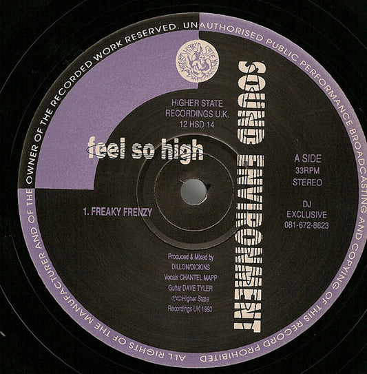 Sound Environment : Feel So High (12")