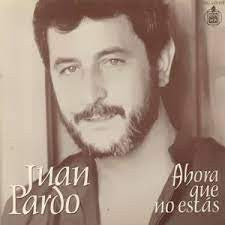 Juan Pardo : Ahora Que No Estas (7", Single)