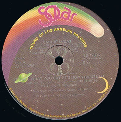 Carrie Lucas : It's Not What You Got (It's How You Use It) (12", Single)