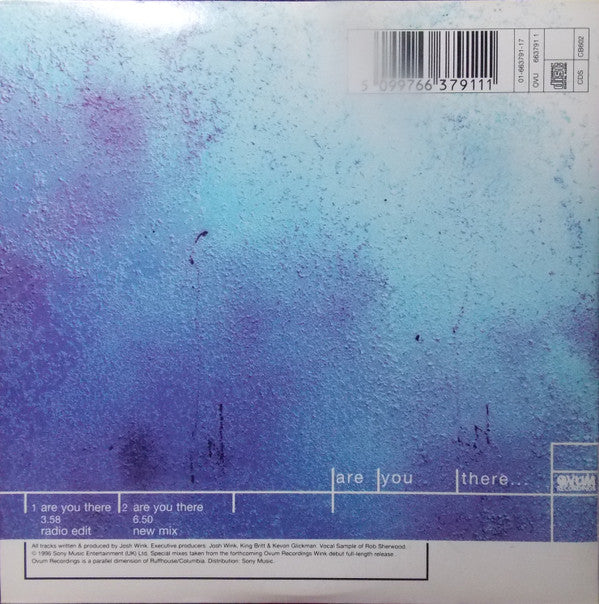 Josh Wink : Are You There... (CD, Single, Car)