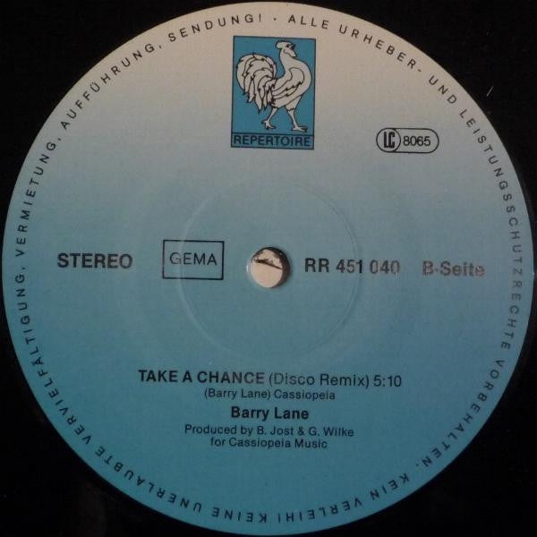 Barry Lane : Take A Chance (Special Disco Remix) (12", Maxi)