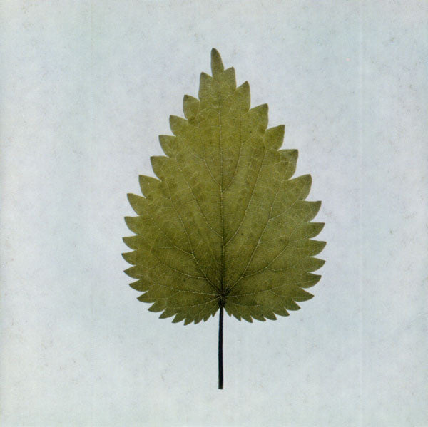 Depeche Mode : Freelove (CD, Single, Ltd, car)