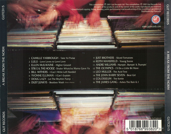 Various : A Break From The Norm (CD, Comp)
