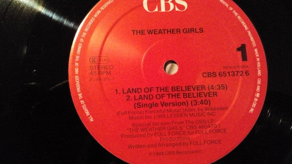 The Weather Girls : The Land Of The Believer (12", Maxi)