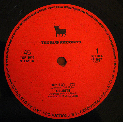 Celeste Johnson : Hey Boy (12")
