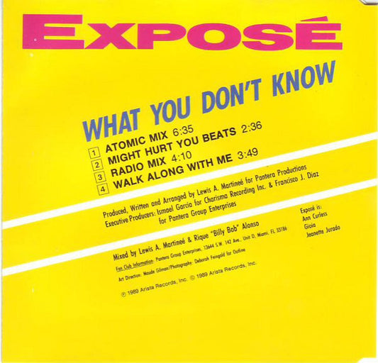 Exposé : What You Don't Know (CD, Maxi)