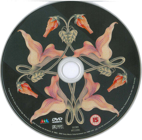 Pink Floyd : The Wall (DVD-V, RE, PAL, Dol)