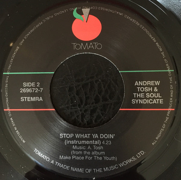 Andrew Tosh & The Soul Syndicate : Make Place For The Youth (7", Single)