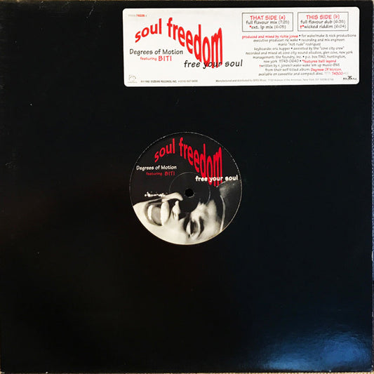 Degrees Of Motion Featuring Biti Strauchn : Soul Freedom (Free Your Soul) (12")