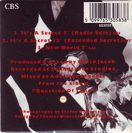 Style (4) : It's A Secret (CD, Mini)