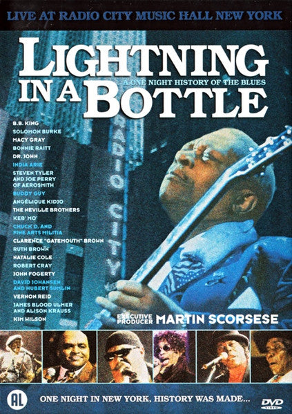Various : Lightning In A Bottle - A One Night History Of The Blues (DVD-V, PAL)