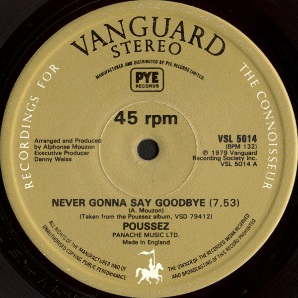 Poussez! : Never Gonna Say Goodbye (12", Single)