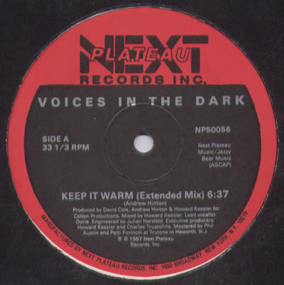 Voices In The Dark : Keep It Warm (12")