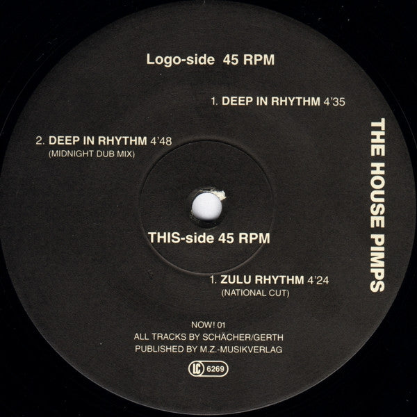 House Pimps : Deep In Rhythm (12")