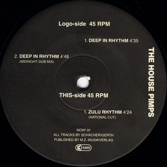 House Pimps : Deep In Rhythm (12")