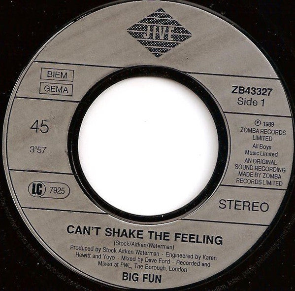 Big Fun : Can't Shake The Feeling (7", Single)