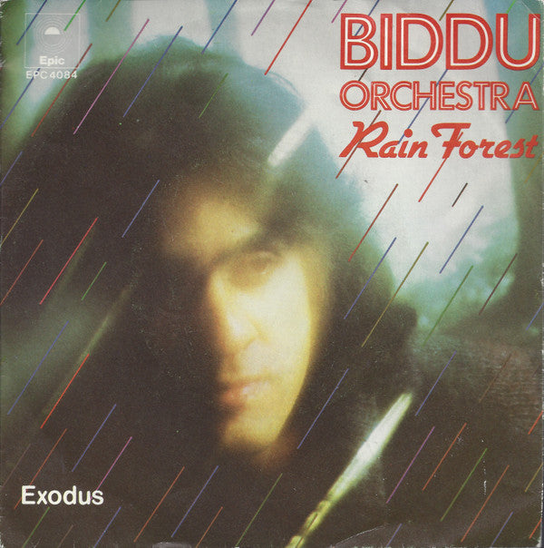 Biddu Orchestra : Rain Forest (7")