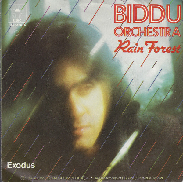 Biddu Orchestra : Rain Forest (7")