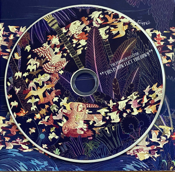 The Franklin Electric : "This Is How I Let You Down" (CD, Album)