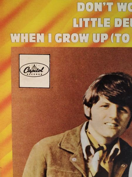 The Beach Boys : 20 Golden Greats (LP, Comp)