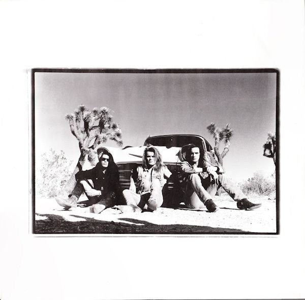 The Cult : Sonic Temple (LP, Album)