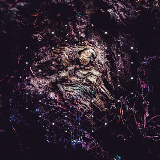 Psychonaut (7) : Unfold The God Man (CD, Album, RE, Dig)