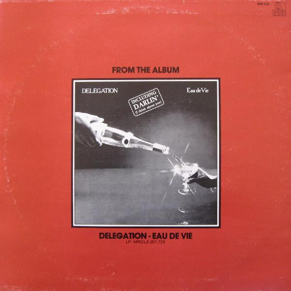 Delegation : Put A Little Love On Me / You And I (12")
