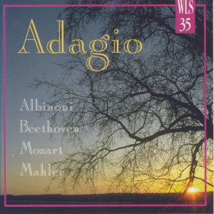Various : Adagio (CD, Comp)