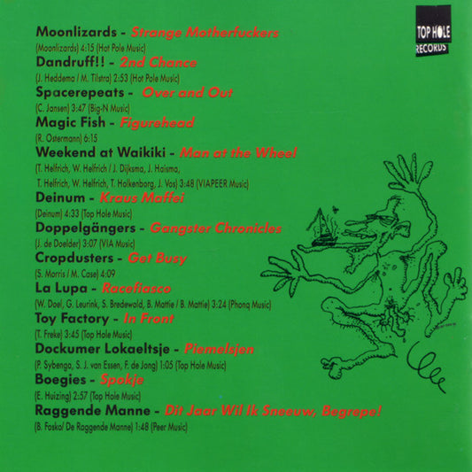 Various : Top Hole 13 Jaar Stronteigenwijs (CD, Comp)