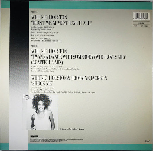 Whitney Houston : Didn't We Almost Have It All (12", Maxi)