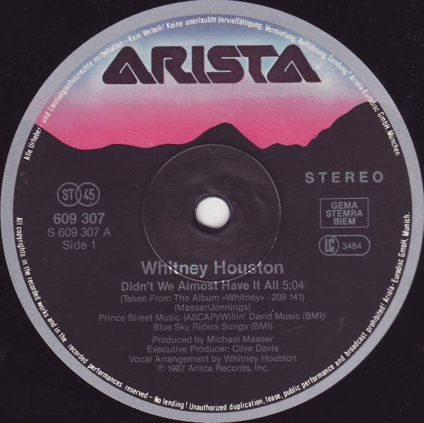 Whitney Houston : Didn't We Almost Have It All (12", Maxi)