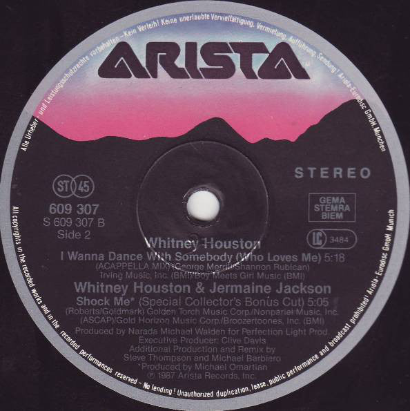 Whitney Houston : Didn't We Almost Have It All (12", Maxi)