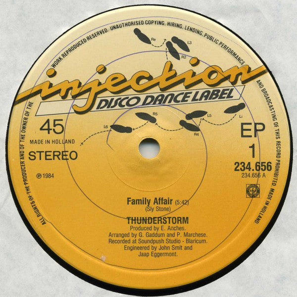 Thunderstorm : Family Affair (12", EP, Maxi)