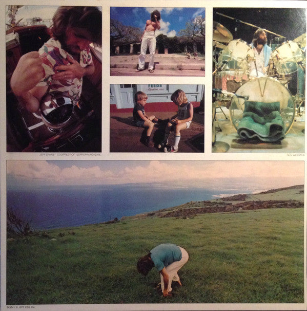 Dennis Wilson (2) : Pacific Ocean Blue (LP, Album, Ter)