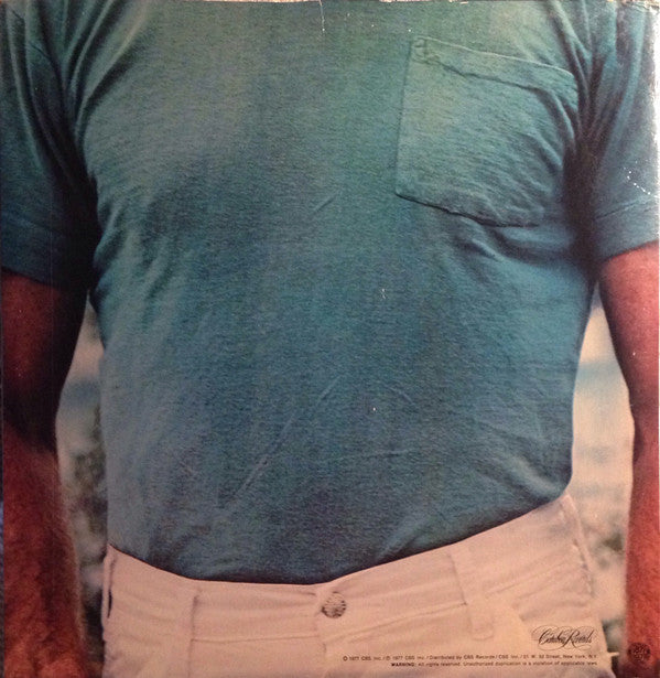 Dennis Wilson (2) : Pacific Ocean Blue (LP, Album, Ter)