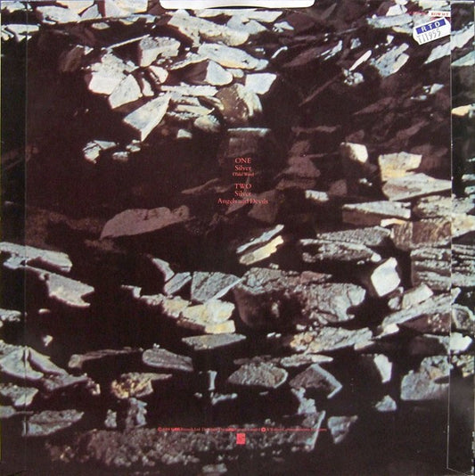 Echo & The Bunnymen : Silver (Tidal Wave) (12")