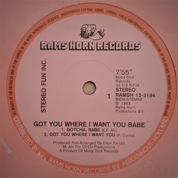 Stereo Fun Inc. : Got You Where I Want You Babe (12")
