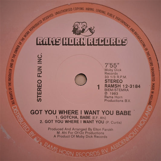 Stereo Fun Inc. : Got You Where I Want You Babe (12")