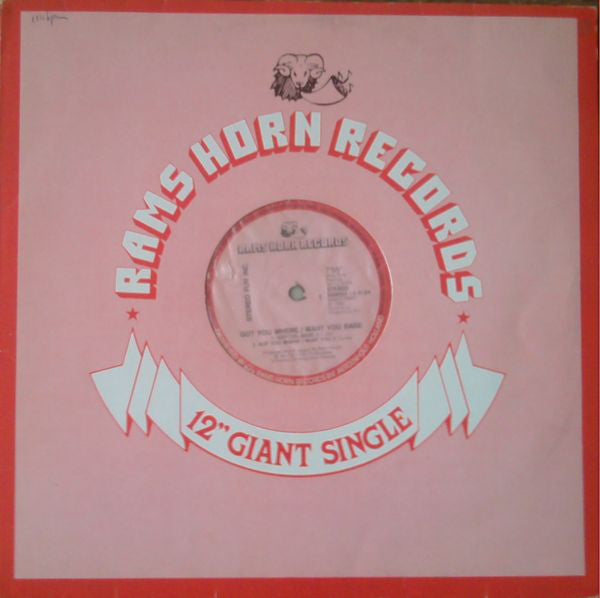 Stereo Fun Inc. : Got You Where I Want You Babe (12")