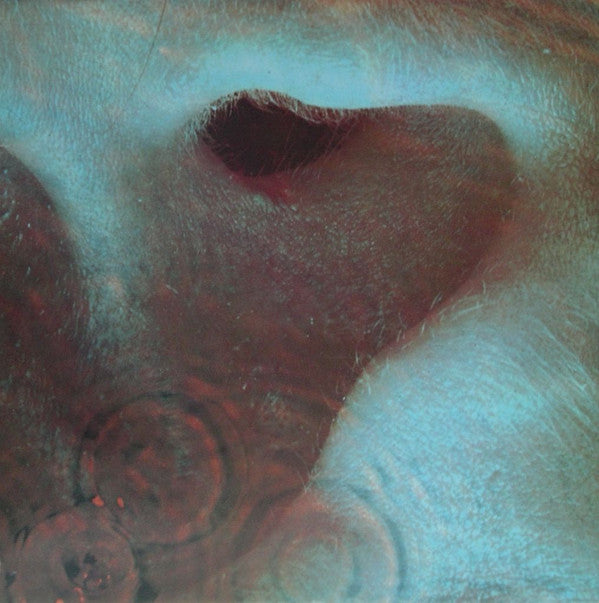 Pink Floyd : Meddle (LP, Album, Gat)