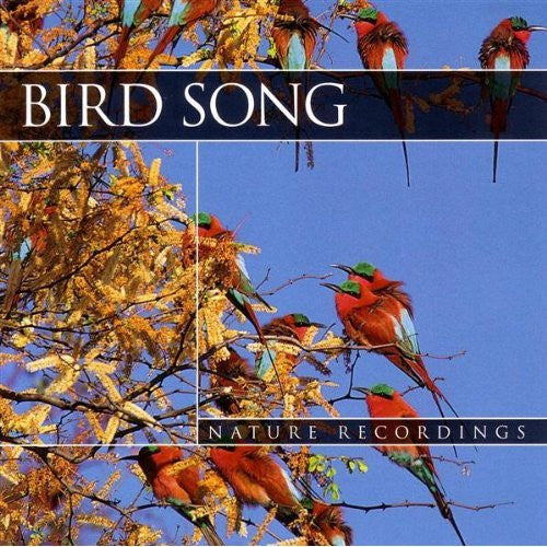 No Artist : Bird Song (CD, Album)