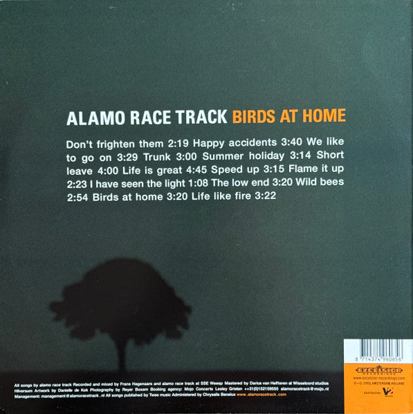 Alamo Race Track : Birds At Home (LP)