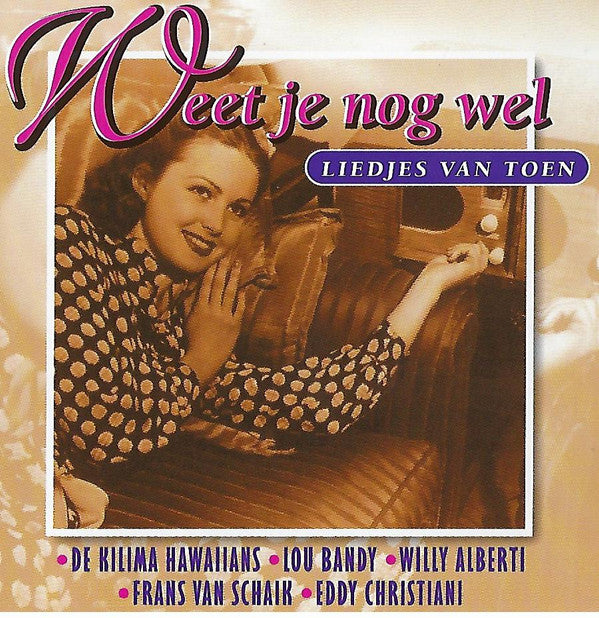 Various : Weet Je Nog Wel (Liedjes Van Toen) (CD, Comp)