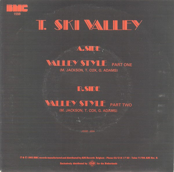 T-Ski Valley : Valley Style (7")