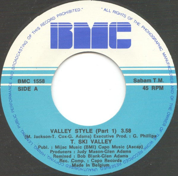 T-Ski Valley : Valley Style (7")